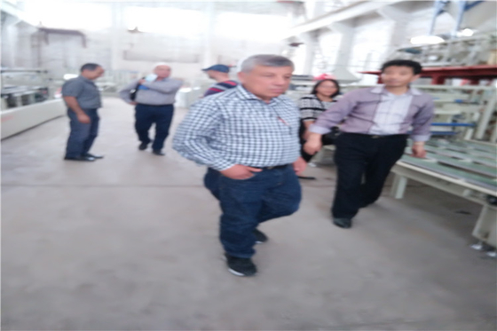 Máquina de moldagem de chapas de telhado onduladas finas transversais com certificado CE